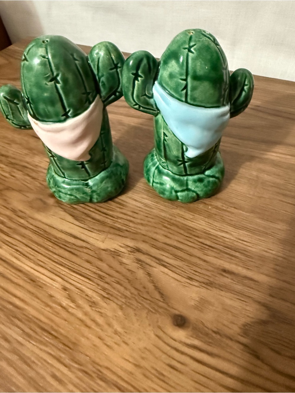 Cactus Salt and Pepper Shakers with Pastel Bandanas